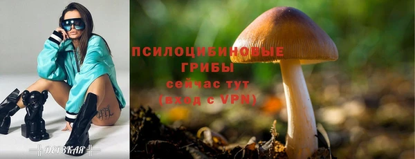 ПСИЛОЦИБИНОВЫЕ ГРИБЫ Абдулино