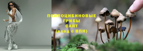 ПСИЛОЦИБИНОВЫЕ ГРИБЫ Абдулино
